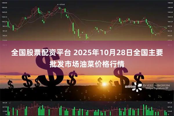 全国股票配资平台 2025年10月28日全国主要批发市场油菜价格行情
