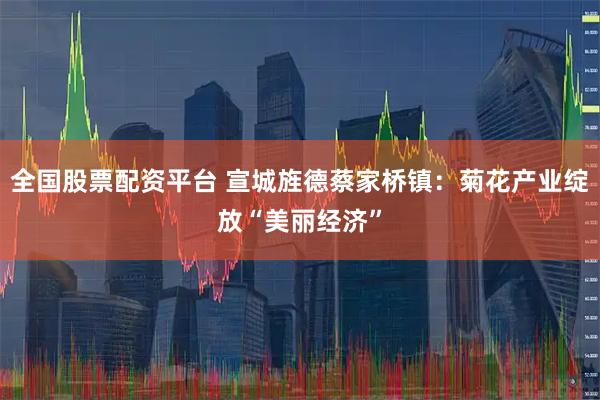 全国股票配资平台 宣城旌德蔡家桥镇：菊花产业绽放“美丽经济”