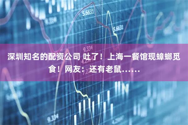 深圳知名的配资公司 吐了!上海一餐馆现蟑螂觅食!网友:还有老鼠……