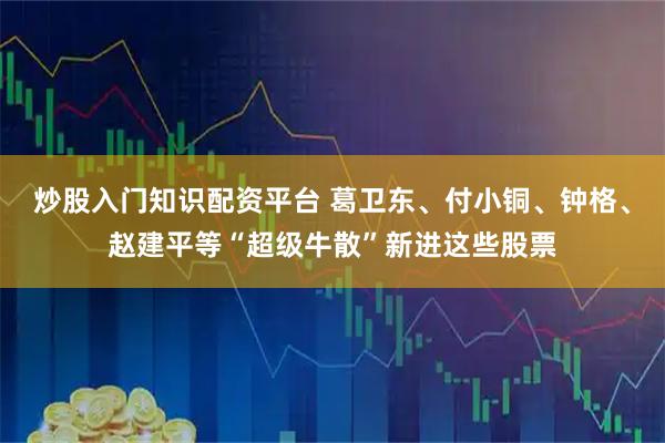 炒股入门知识配资平台 葛卫东、付小铜、钟格、赵建平等“超级牛散”新进这些股票