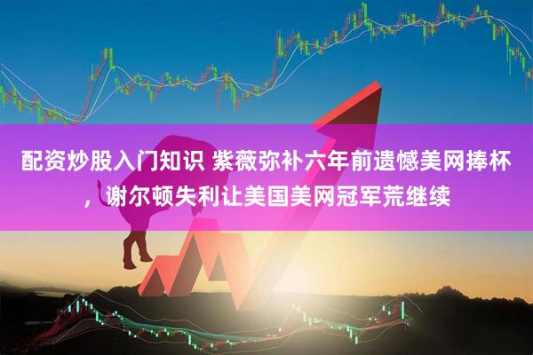 配资炒股入门知识 紫薇弥补六年前遗憾美网捧杯，谢尔顿失利让美国美网冠军荒继续