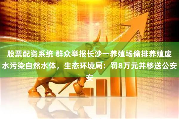 股票配资系统 群众举报长沙一养殖场偷排养殖废水污染自然水体，生态环境局：罚8万元并移送公安